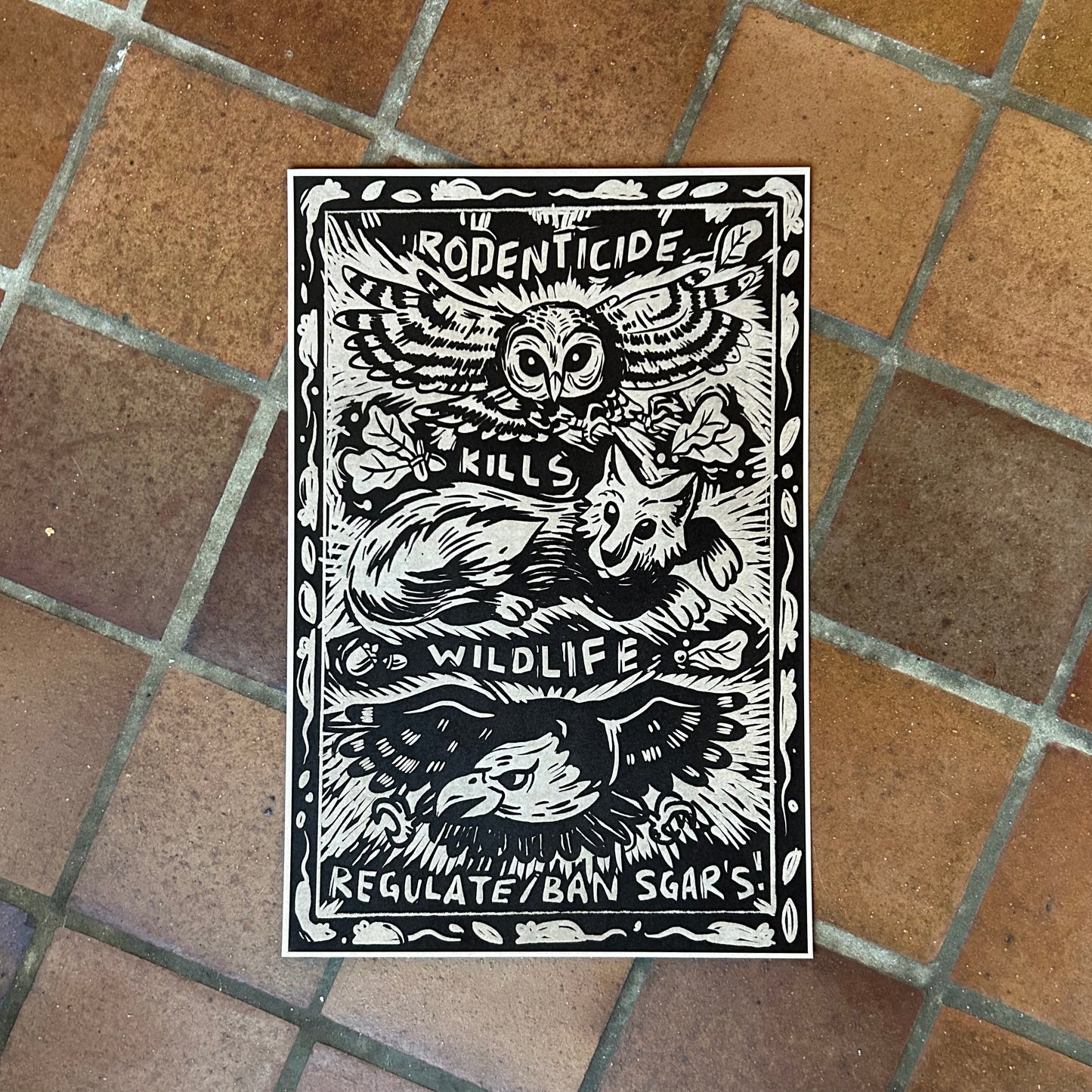 BAN SGARS 12 x 18 Poster