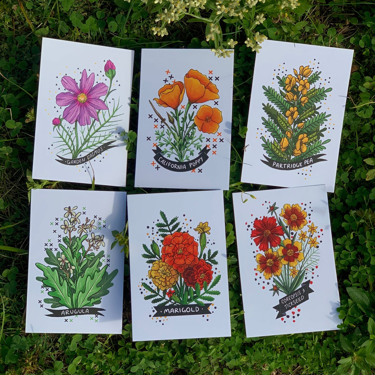 Garden Flower 5x7 Postcards